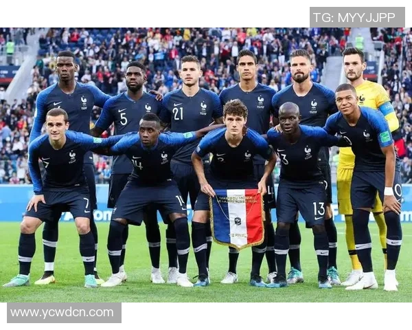 法国足球明星汇总及其辉煌成就与影响力分析